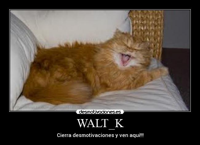 WALT_K - Cierra desmotivaciones y ven aqui!!!