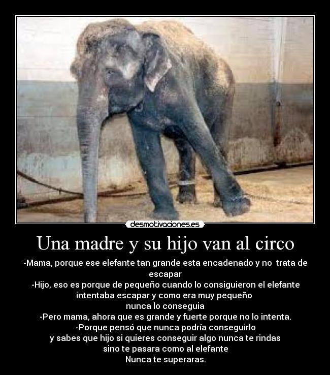 Una madre y su hijo van al circo -