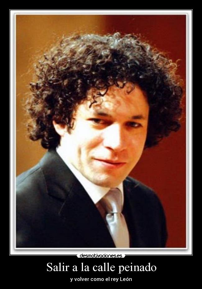 Salir a la calle peinado - 