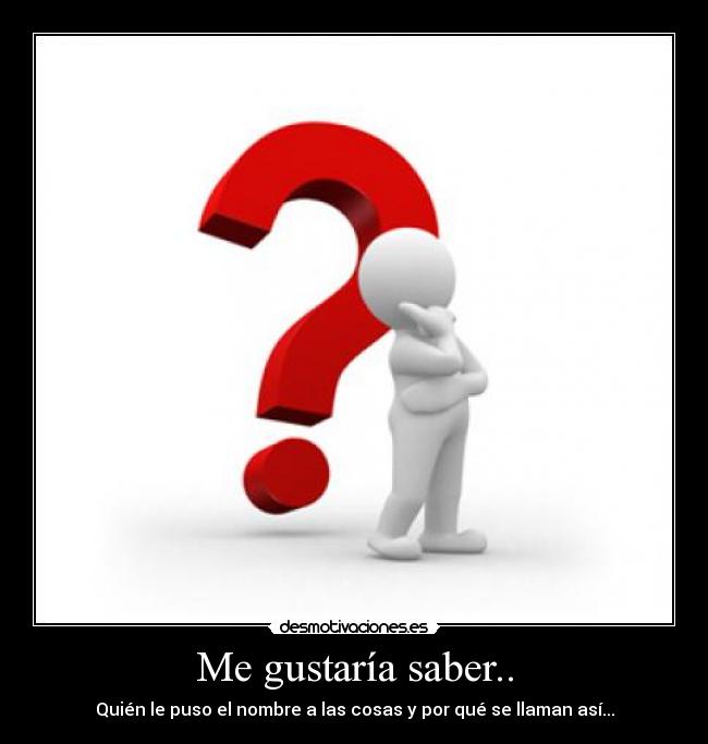 Me gustaría saber.. - Quién le puso el nombre a las cosas y por qué se llaman así...