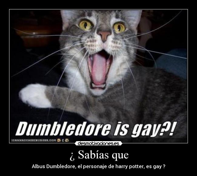 ¿ Sabías que - Albus Dumbledore, el personaje de harry potter, es gay ?