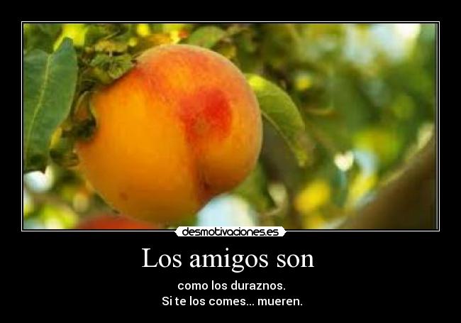 Los amigos son - como los duraznos.
Si te los comes... mueren.