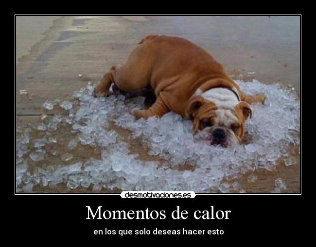 carteles momentos calurosos desmotivaciones