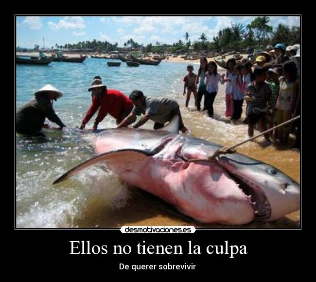 Ellos no tienen la culpa -