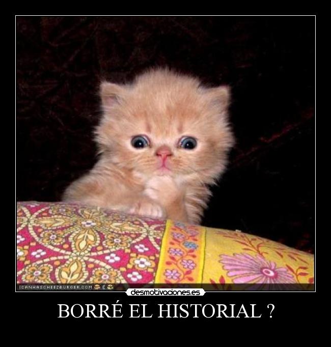 BORRÉ EL HISTORIAL ? -