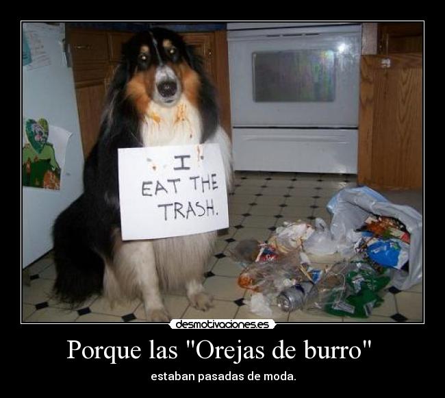 Porque las Orejas de burro - estaban pasadas de moda.