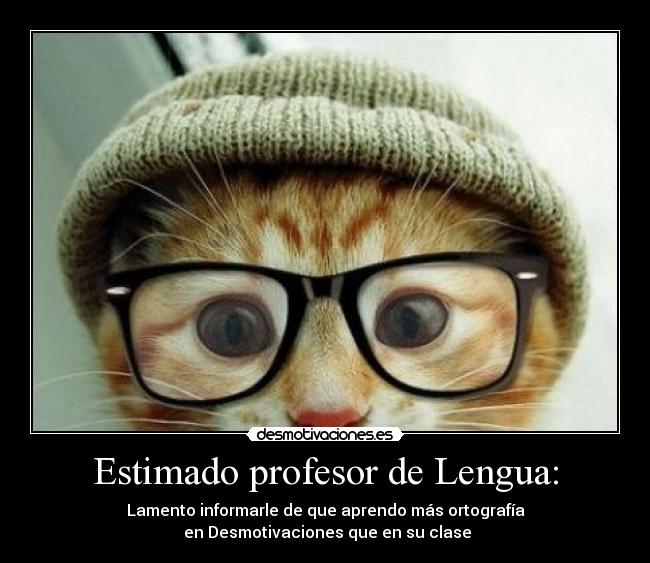 Estimado profesor de Lengua: -