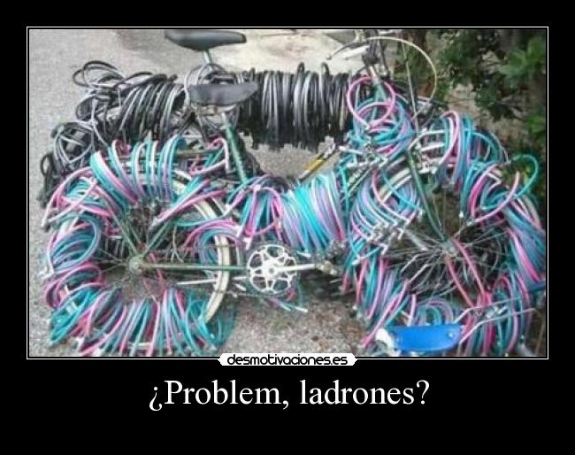 ¿Problem, ladrones? - 