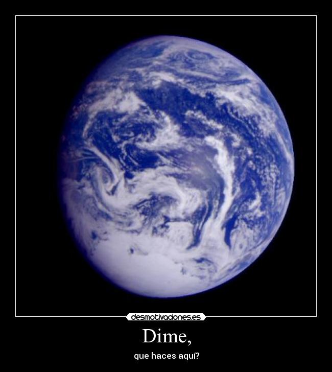 Dime, - que haces aquí?