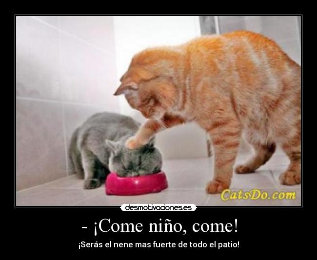 - ¡Come niño, come! - ¡Serás el nene mas fuerte de todo el patio!