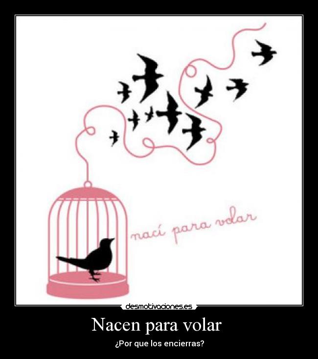 Nacen para volar -