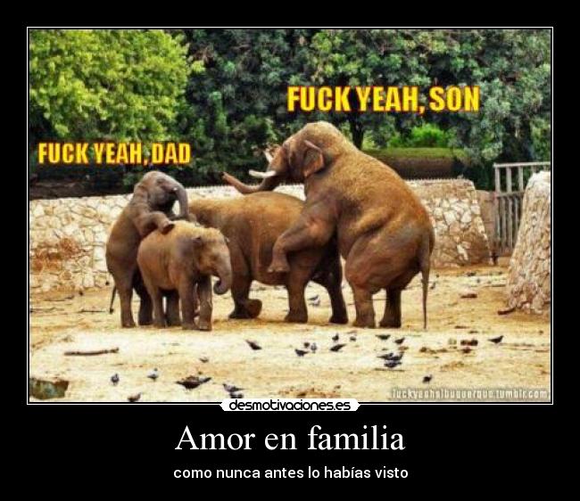 Amor en familia -