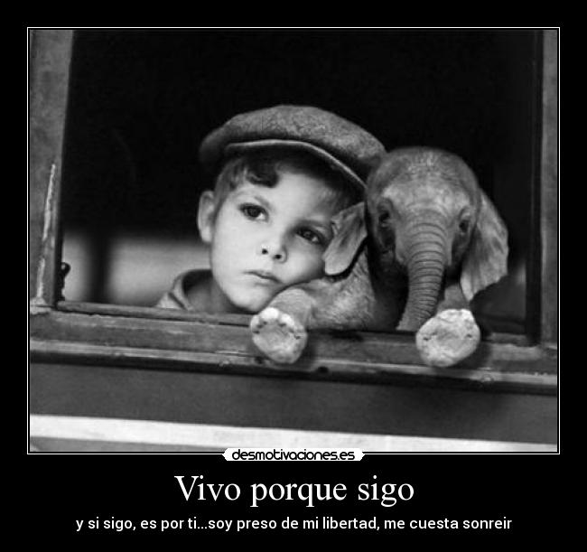 Vivo porque sigo - y si sigo, es por ti...soy preso de mi libertad, me cuesta sonreir