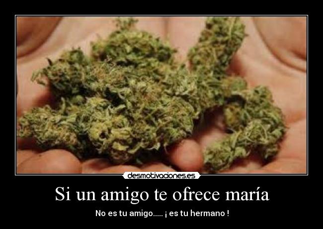 Si un amigo te ofrece maría -