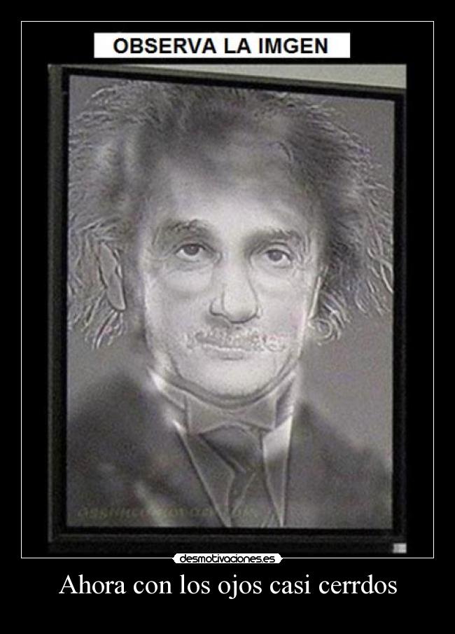 carteles harry potter einstein desmotivaciones