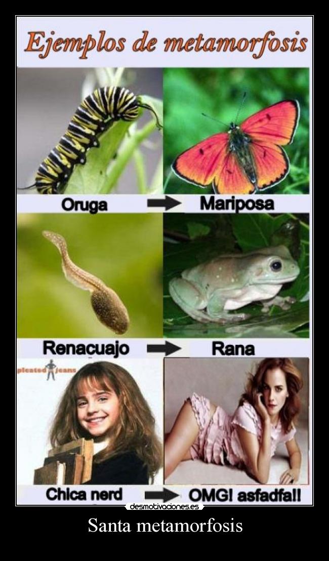 Santa metamorfosis -