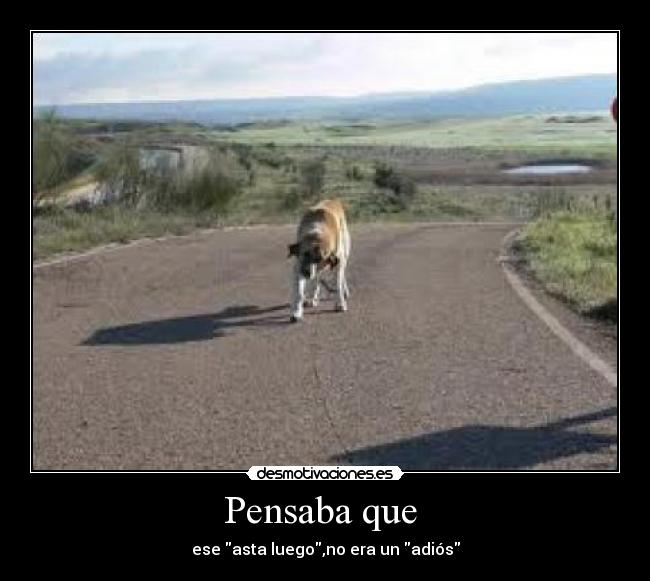 Pensaba que - ese asta luego,no era un adiós