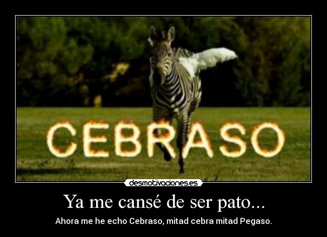 Ya me cansé de ser pato... - Ahora me he echo Cebraso, mitad cebra mitad Pegaso.