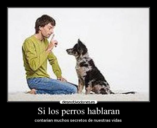 Si los perros hablaran - contarian muchos secretos de nuestras vidas