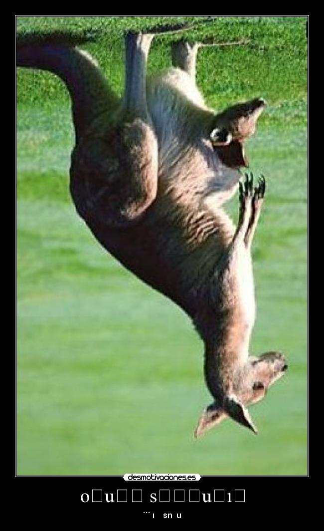 oʇuɐʇ sɐɹʇuǝıɯ -