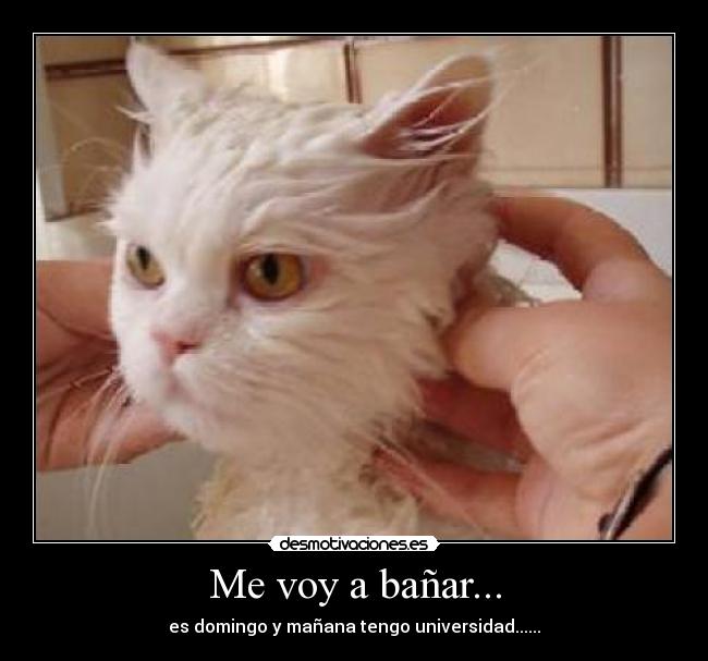 Me voy a bañar... -