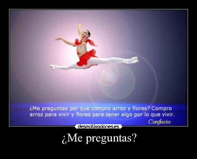 carteles preguntas por que compro arroz flores desmotivaciones