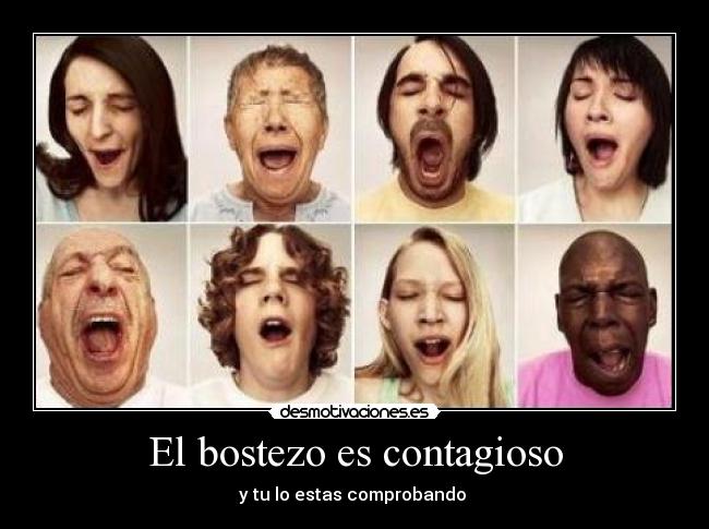 El bostezo es contagioso -