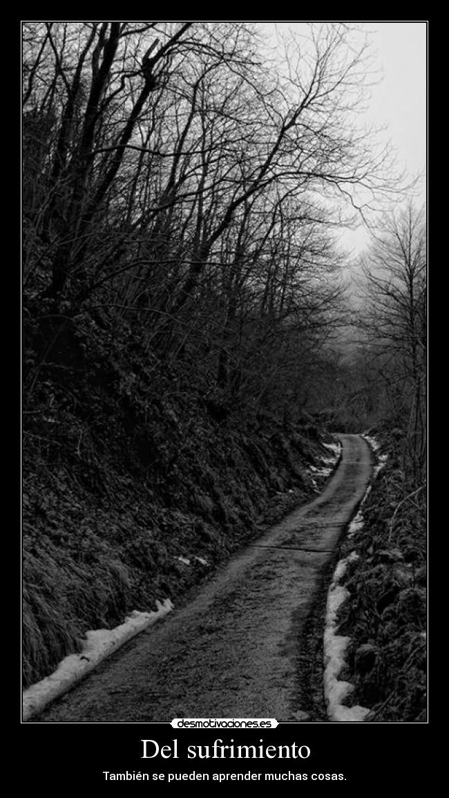 Del sufrimiento - 