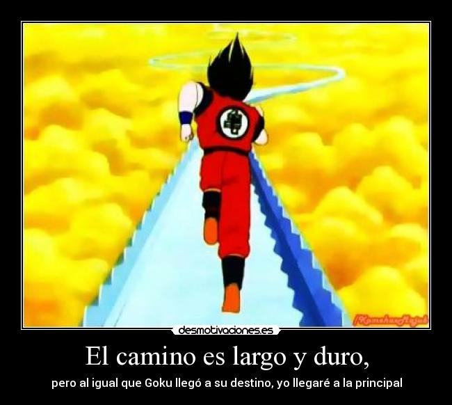 El camino es largo y duro, -