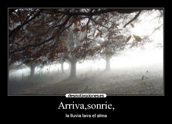 Arriva,sonrie, - la lluvia lava el alma
