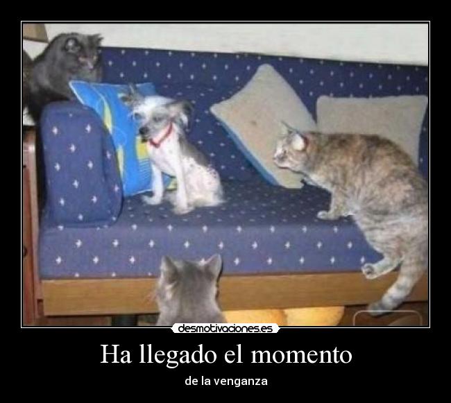 Ha llegado el momento -