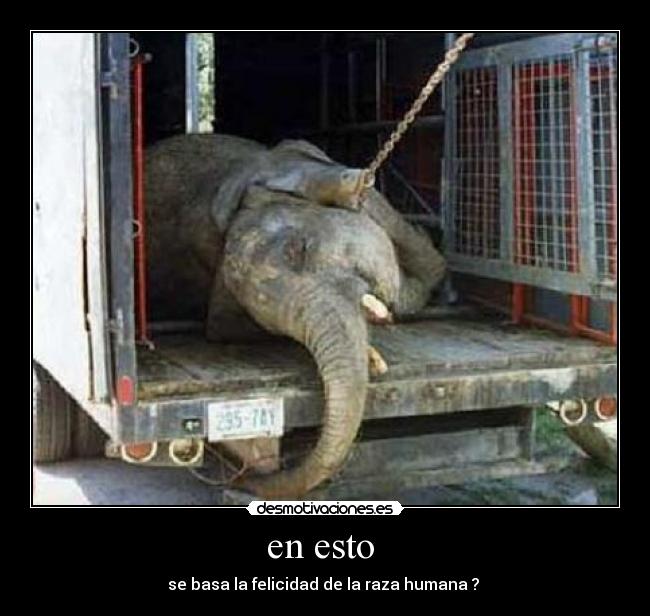 en esto  - se basa la felicidad de la raza humana ? 