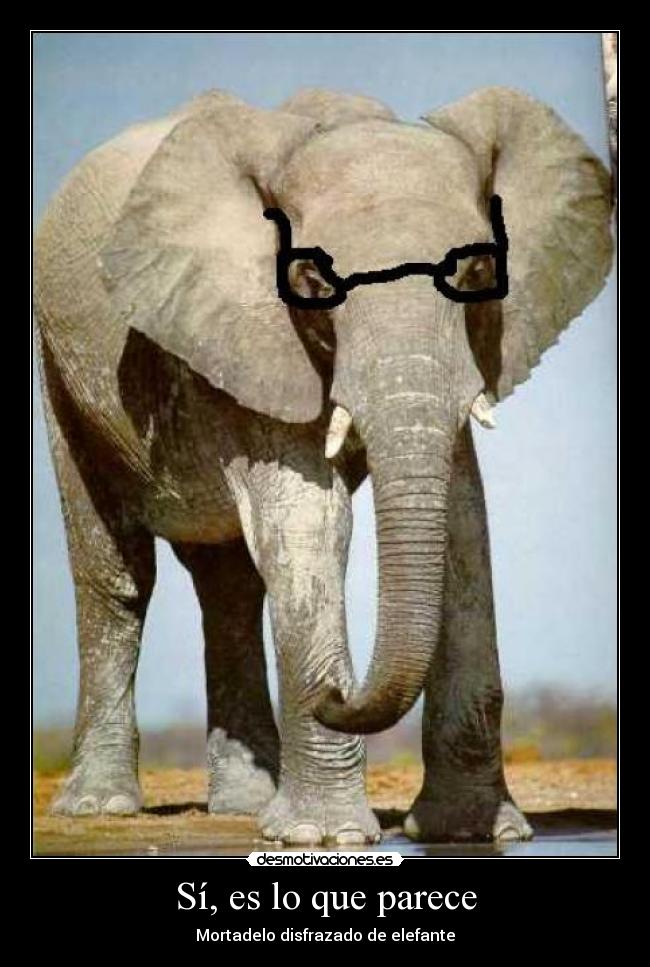 Sí, es lo que parece -