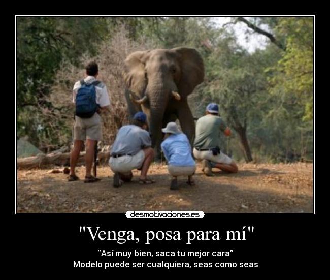 Venga, posa para mí -