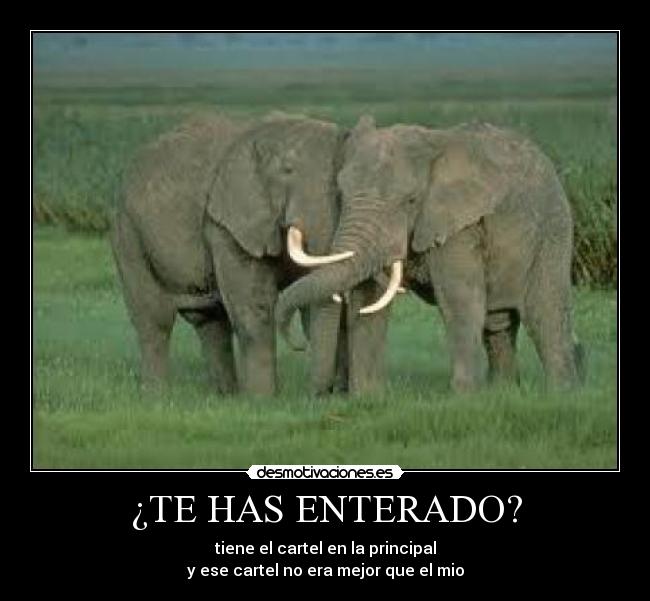 ¿TE HAS ENTERADO? -