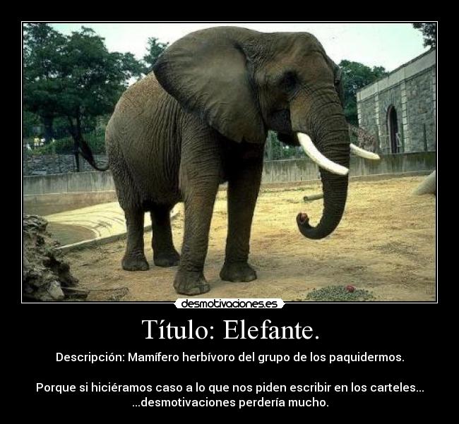 Título: Elefante. - Descripción: Mamífero herbívoro del grupo de los paquidermos.

Porque si hiciéramos caso a lo que nos piden escribir en los carteles...
...desmotivaciones perdería mucho.