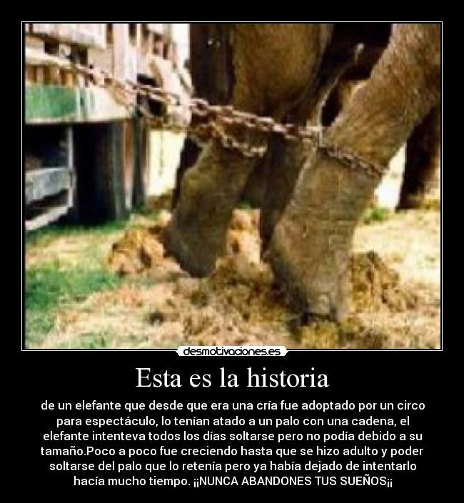 Esta es la historia -