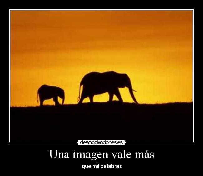 Una imagen vale más - que mil palabras