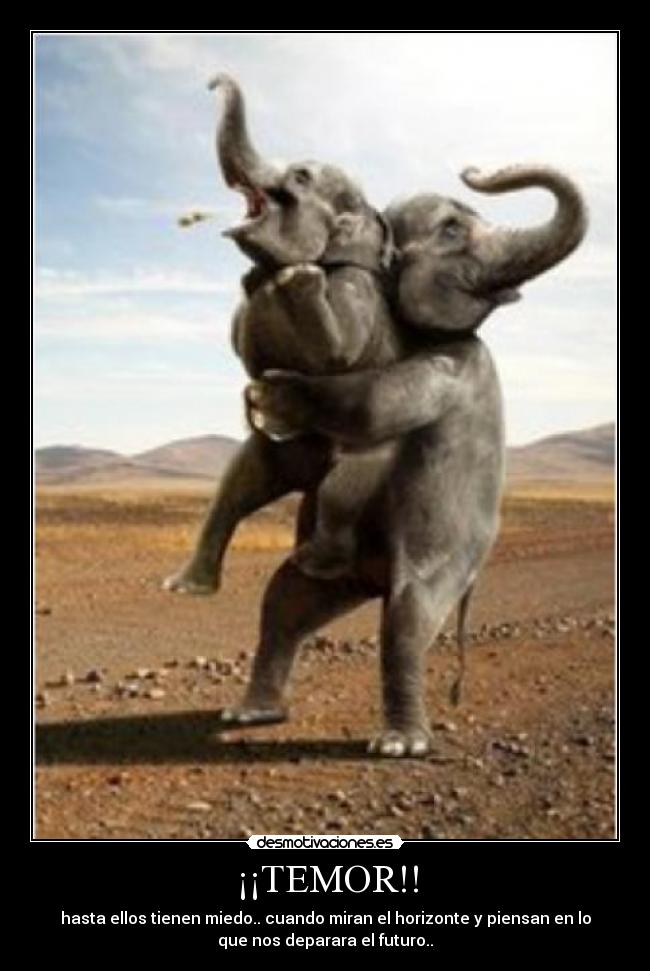 ¡¡TEMOR!! - hasta ellos tienen miedo.. cuando miran el horizonte y piensan en lo
que nos deparara el futuro..