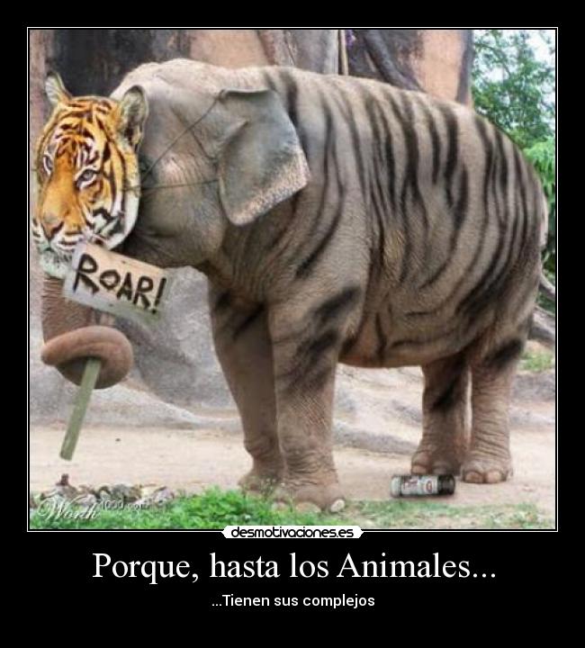 Porque, hasta los Animales... -