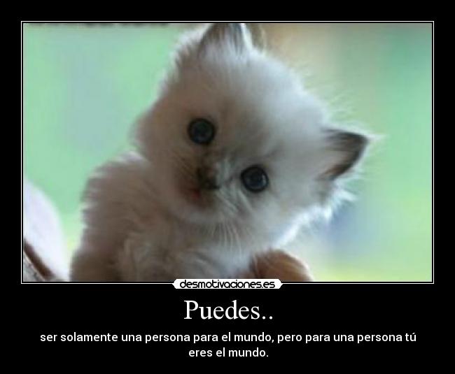 Puedes.. - 