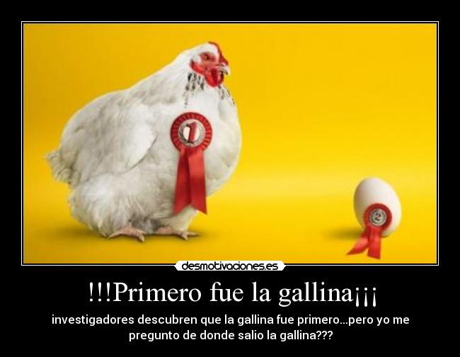 !!!Primero fue la gallina¡¡¡ -