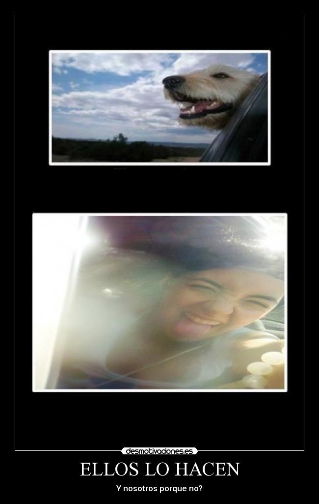 ELLOS LO HACEN - 