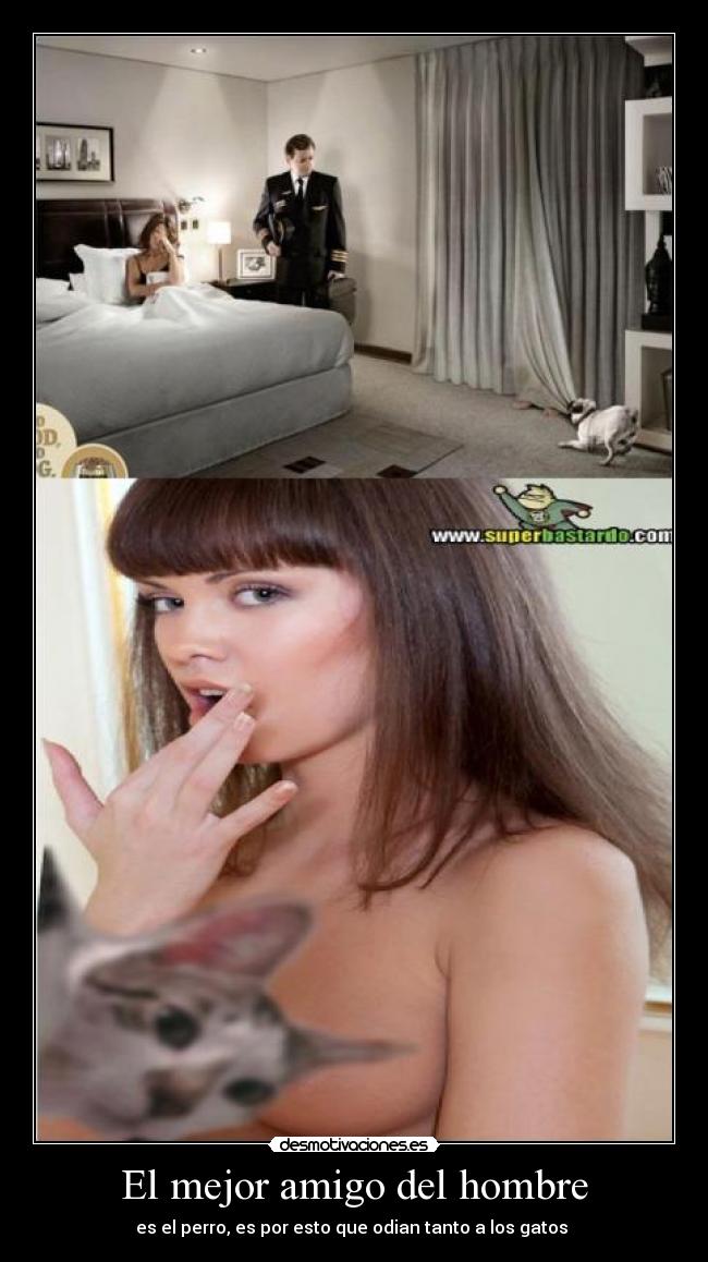El mejor amigo del hombre -