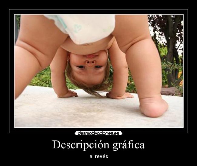 Descripción gráfica - al revés