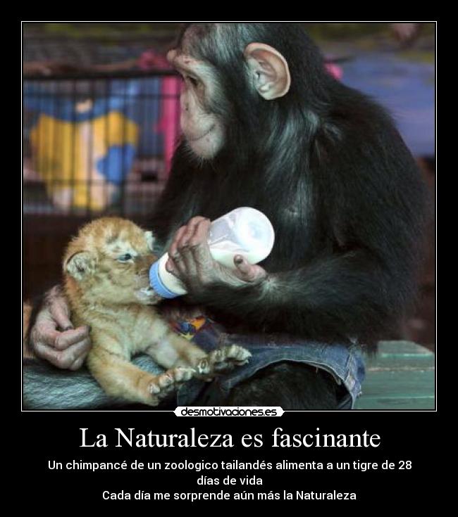 La Naturaleza es fascinante - 