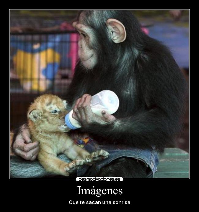 Imágenes - Que te sacan una sonrisa