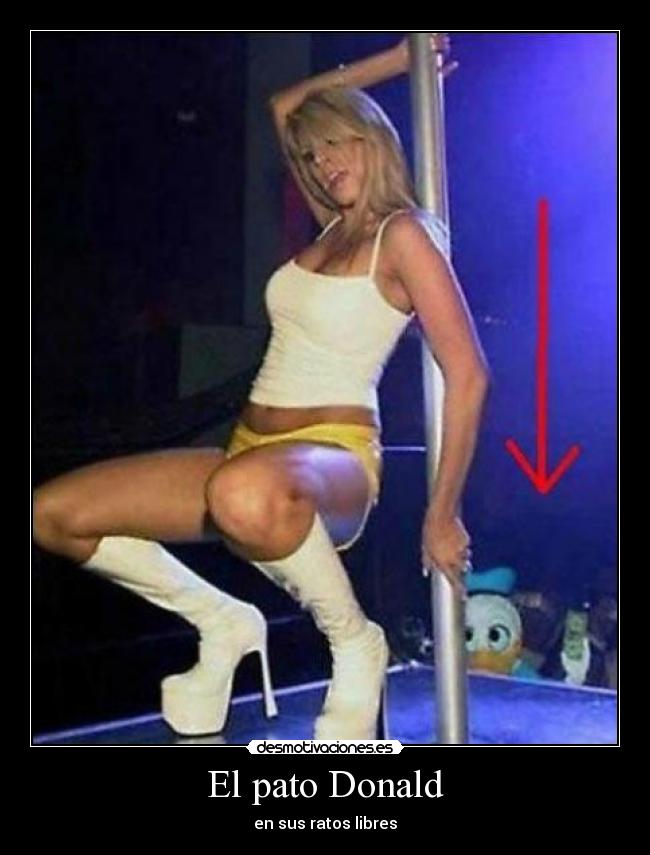 carteles pato donald desmotivaciones