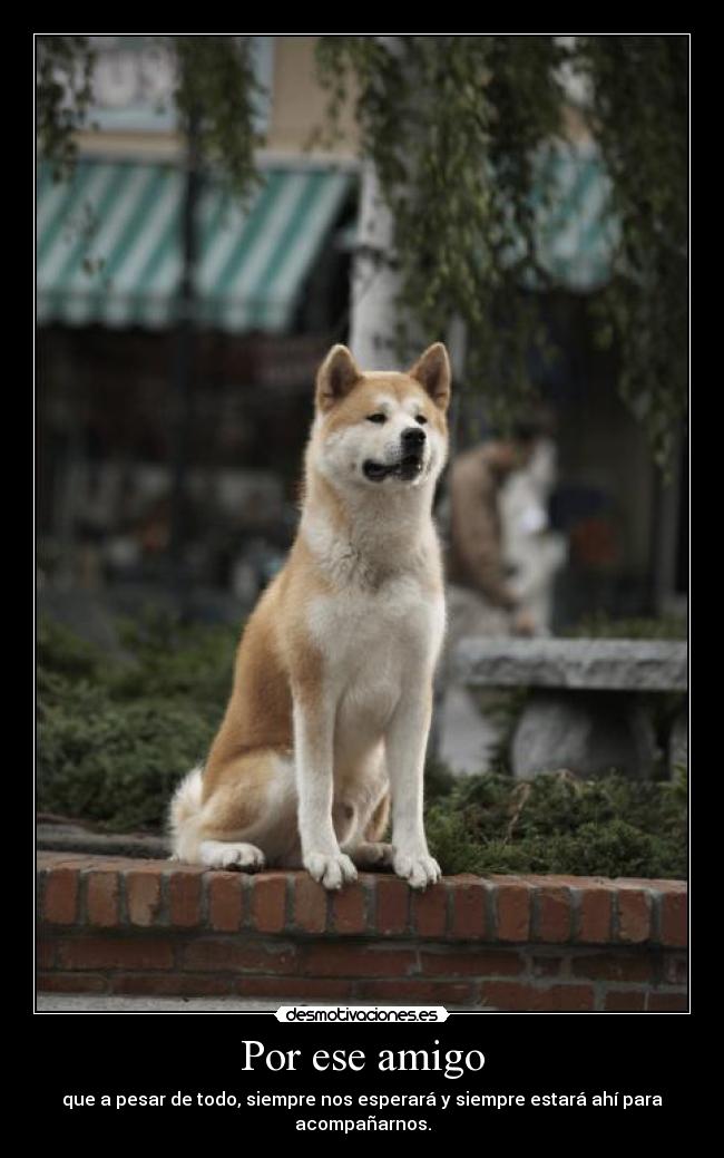 Por ese amigo -