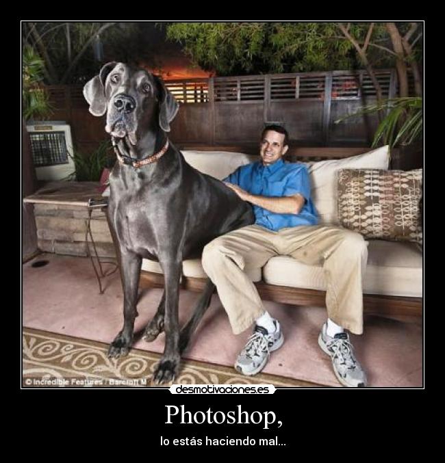 Photoshop, -